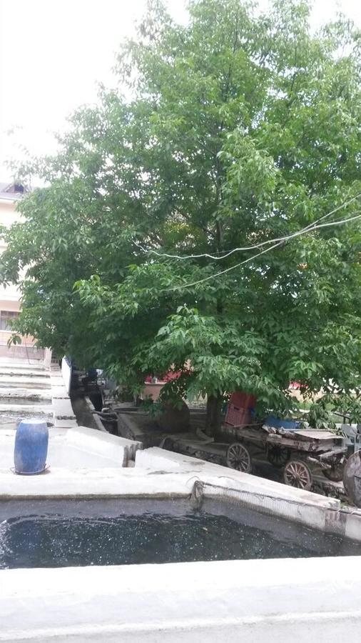Alanlar Alabalik Ve Otel Ağlasun Buitenkant foto